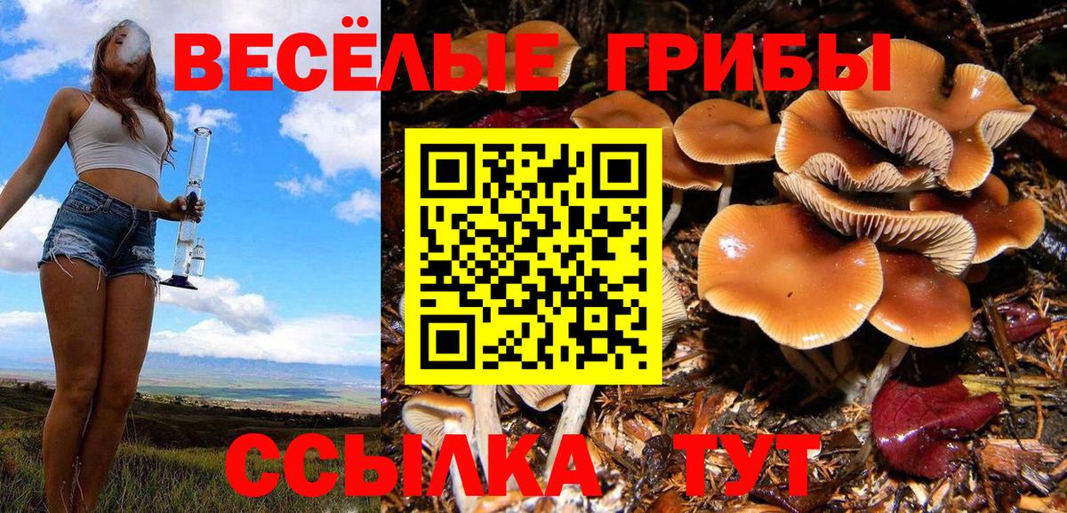 Черногорск  Галлюциногенные грибы MAGIC MUSHROOMS  Вход с VPN 